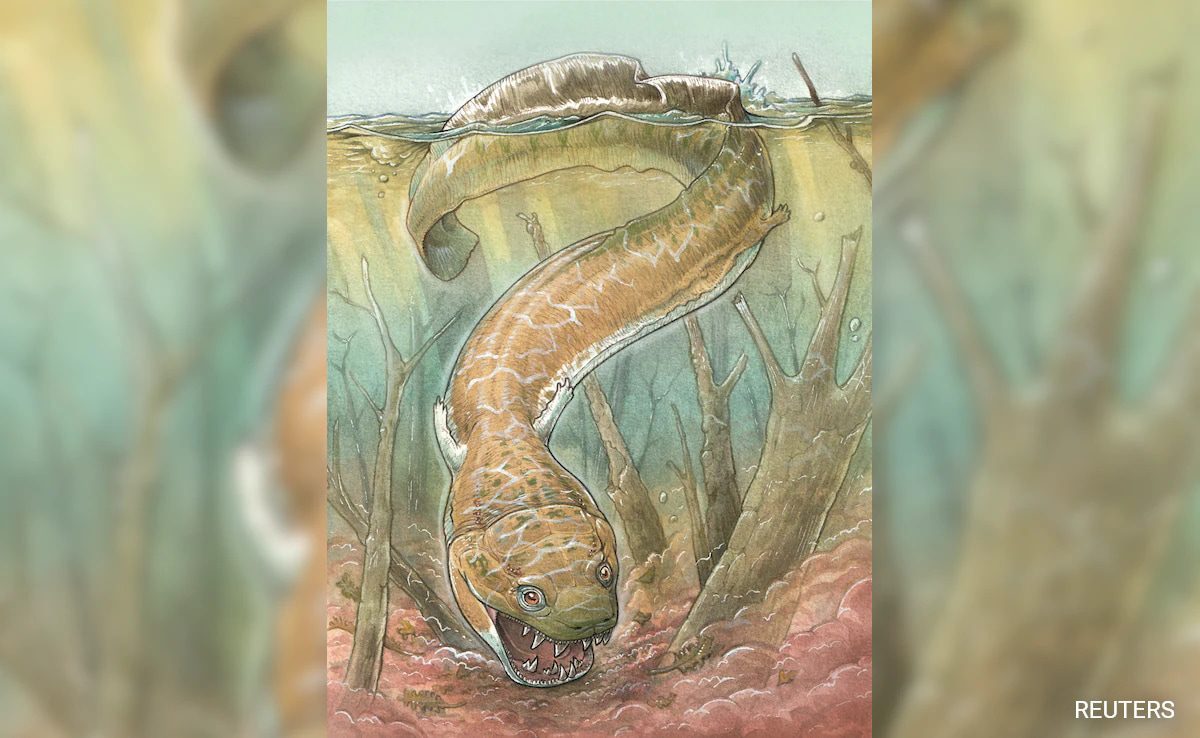 ​Big Salamander-Like Creature Roamed Namibia 280 Million Years Ago 