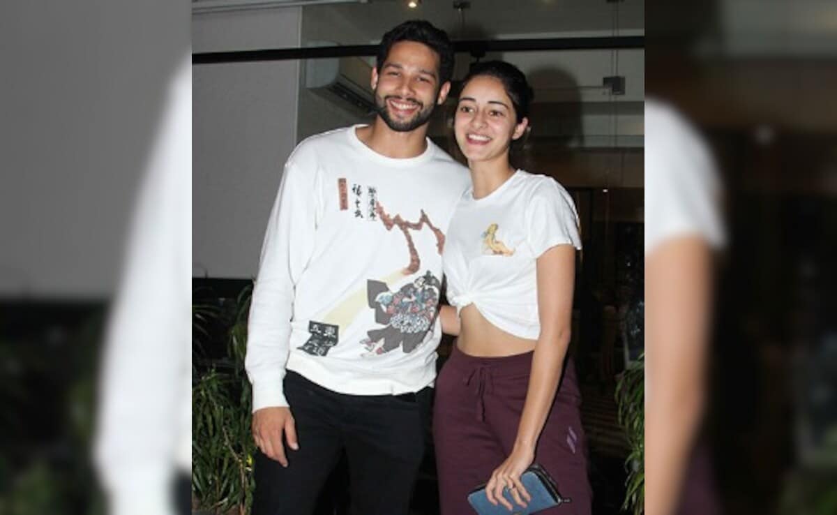 Ananya Pandey's Call Me Bae Trailer Has A Siddhant Chaturvedi Connection 