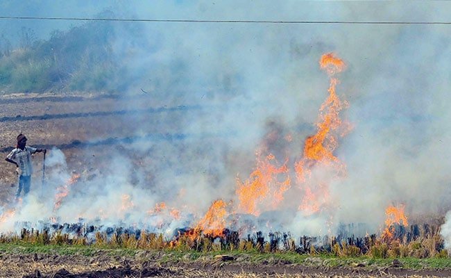 पराली जलाने पर सुप्रीम कोर्ट ने पंजाब, हरियाणा को फटकार लगाई