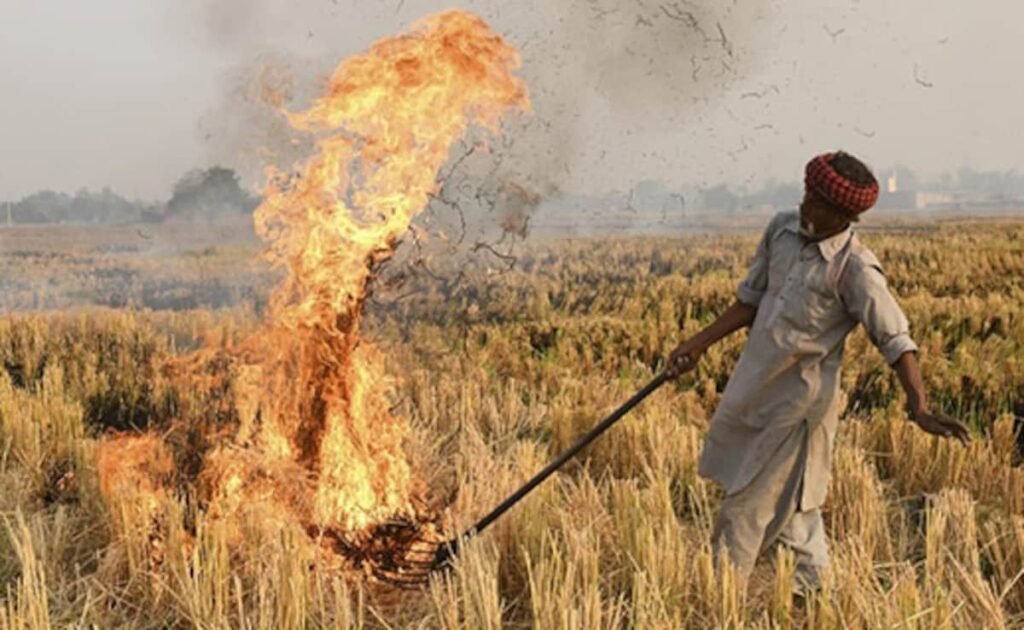 192 Farmers Charged For Stubble Burning In Haryana