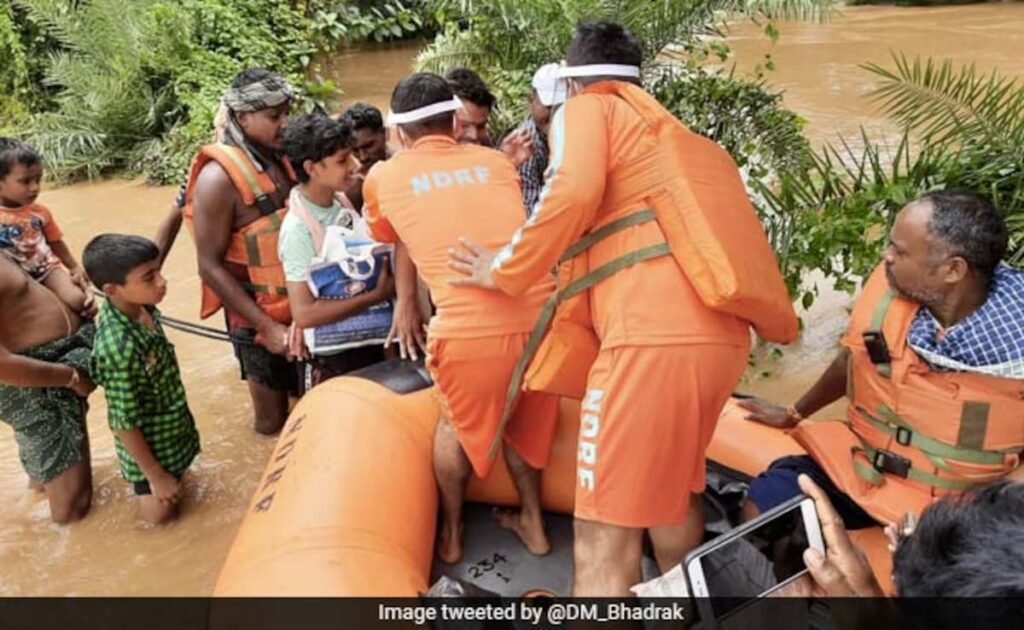 Snakebites, Natural Disasters Claimed 10,300 Lives in Odisha In 3 Years: Minister